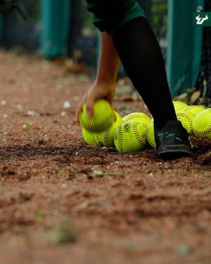 Image post by @usfsoftball on Instagram