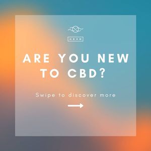 Image post by @hbhmofficial on Instagram