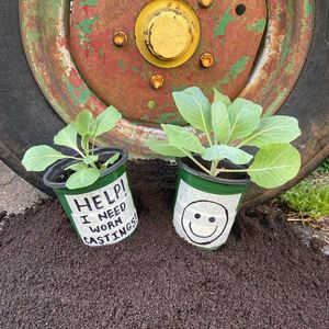 Image post by @GreenhillWormFarm on Facebook