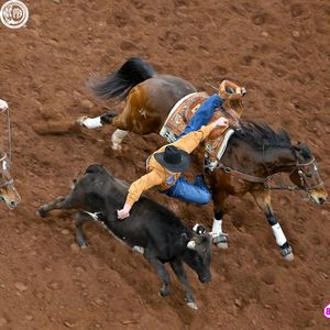 Image post by @internationalprorodeo on Instagram