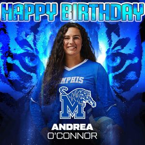 Image post by @memphisvball on Instagram
