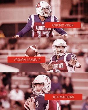 Image post by @mtlalouettes on Instagram