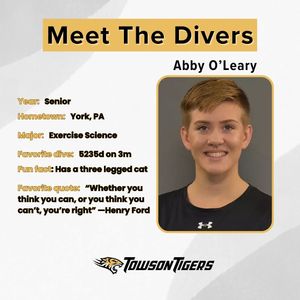 Image post by @towson_diving on Instagram