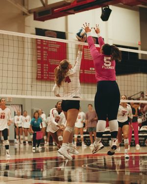 Image post by @uuathleticsvb on Instagram