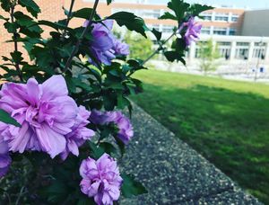 Image post by @shippensburgu on Instagram