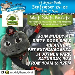 Image post by @carolinamudcats on Instagram