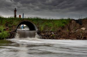 Image post by @bohemiethan on Instagram