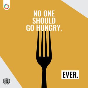 Image post by @unitednations on Instagram