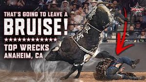 Video post by @pbr on YouTube