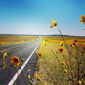 Image post by @visitoverlandpark on Instagram