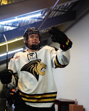 Image post by @lu_whockey on Instagram