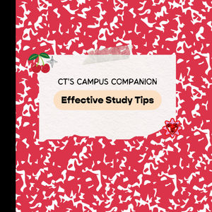 Image post by @campustrendsetters on Instagram