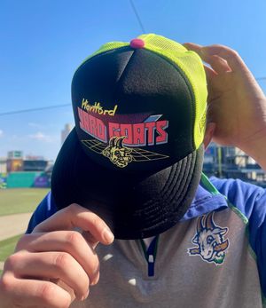Image post by @hartfordyardgoats on Instagram