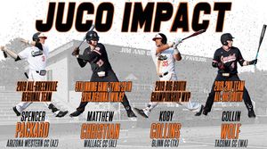 Image post by @gocamelsbsb on Instagram