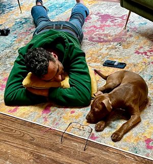 Image post by @nycgaydad on Instagram