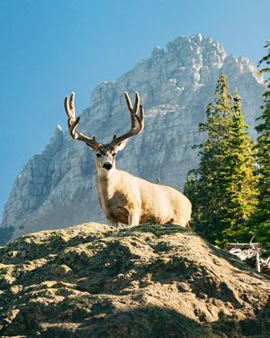 Image post by @nationalparkspartnership on Instagram