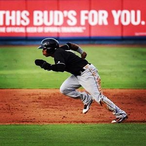 Image post by @gohammerheads on Instagram