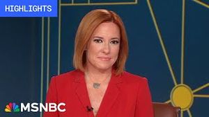 Video post by @msnbc on YouTube