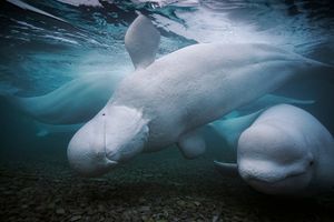 Image post by @natgeo on Instagram