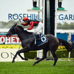 Image post by @australianturfclub on Instagram