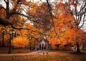 Image post by @iubloomington on Instagram