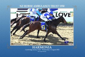 Image post by @NZHorseAmbulanceTrust on Facebook