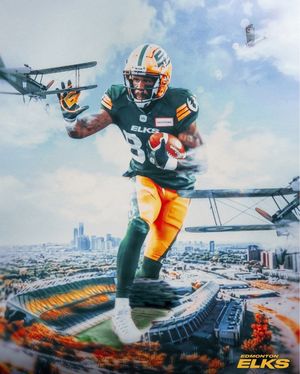 Image post by @goelks on Instagram