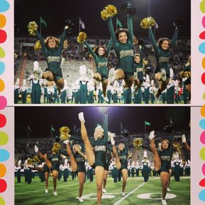 Image post by @csugoldenpoms on Instagram