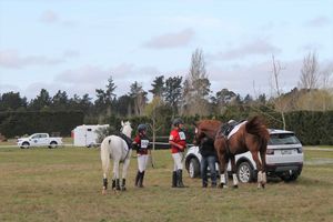 Image post by @NZHorseAmbulanceTrust on Facebook