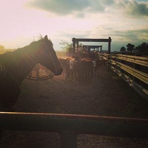 Image post by @farmcredit on Instagram