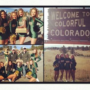 Image post by @csugoldenpoms on Instagram