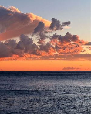 Image post by @fubiz on Instagram