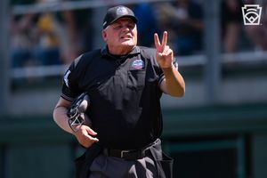 Image post by @littleleague on Twitter