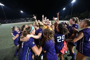 Image post by @barstoolcats on Instagram