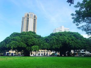 Image post by @ilovetheburg on Instagram