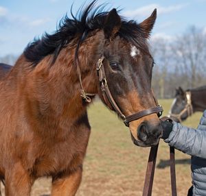 Image post by @thebloodhorse on Instagram