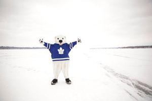 Image post by @CarltonTheBear on Twitter