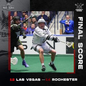 Image post by @vegasdesertdogs on Instagram