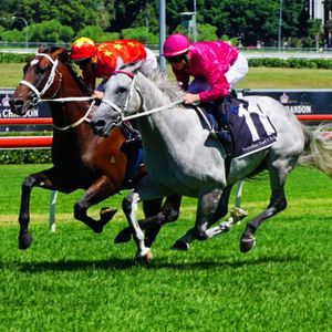 Image post by @australianturfclub on Instagram