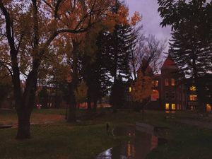 Image post by @nauflagstaff on Instagram