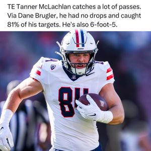 Image post by @bengalsdrake on Instagram