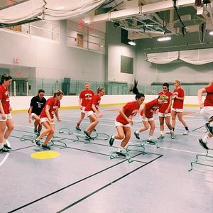 Image post by @terrierwsoc on Instagram