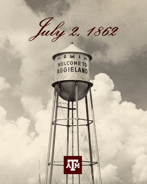 Image post by @tamu on Instagram