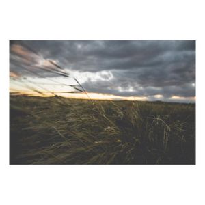 Image post by @acisneros.co on Instagram