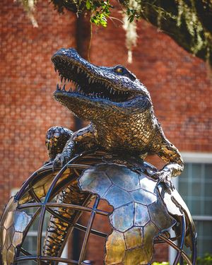 Image post by @gatorswbk on Instagram