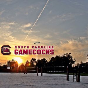 Image post by @gamecockbeachvb on Instagram