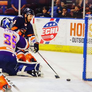 Image post by @swamprabbits on Instagram