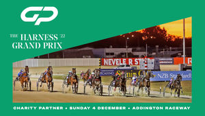 Image post by @NZHorseAmbulanceTrust on Facebook