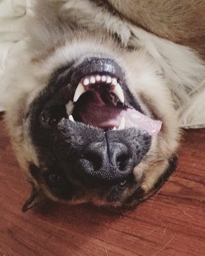 Image post by @jcrain23 on Instagram