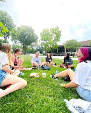 Image post by @hofstrau on Instagram